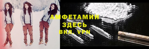 амф Новозыбков