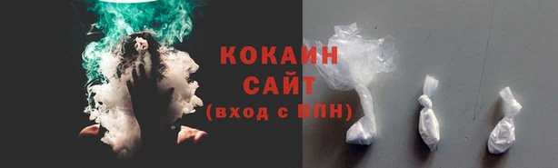 амф Новозыбков