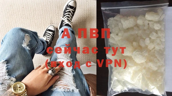 СК Ветлуга