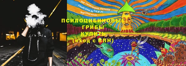 амф Новозыбков