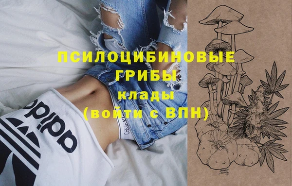 СК Нягань